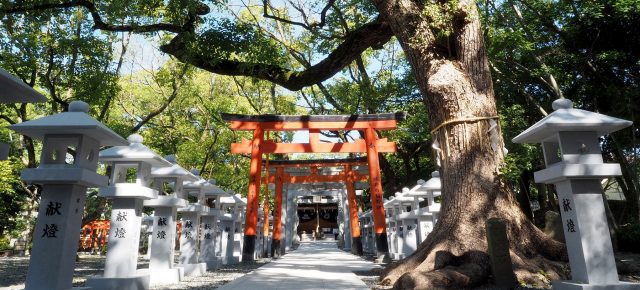 「葛葉稲荷神社」について